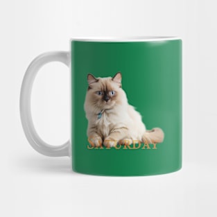 Saturday Cat!. Enjoy it (the saturday and the cat) Mug